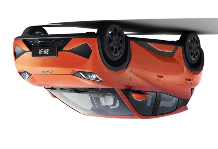 Seagull 2026